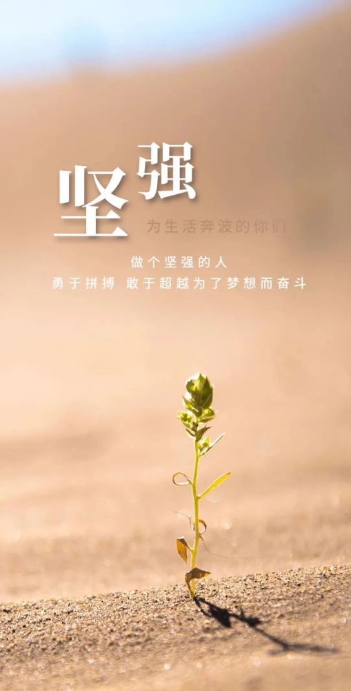 短句,英語(yǔ),句子,能量