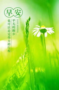 微商發(fā)朋友圈的句子正能量微信號