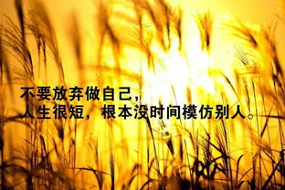 正能量自我認知的句子
