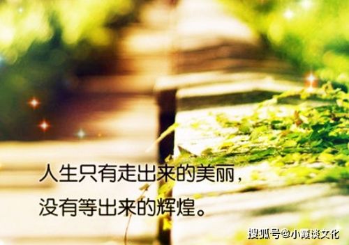 對女人正能量的句子經(jīng)典語(yǔ)句