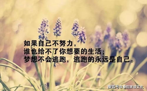早晨充滿(mǎn)正能量的句子,早晨充滿(mǎn)正能量的句子,早晨正能量勵志的句子