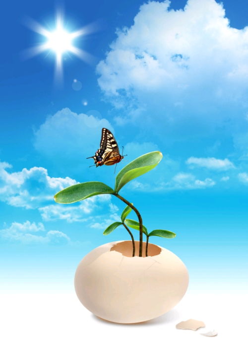 努力向上正能量的句子短句,正能量向上的句子簡(jiǎn)短認真生活,陽(yáng)光向上正能量的句子