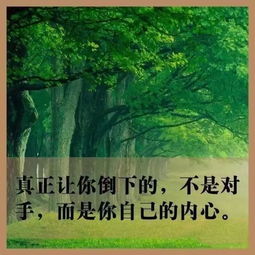 奮斗打拼正能量的句子,正能量滿(mǎn)滿(mǎn)的勵志句子,雨天幽默正能量的句子