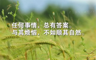 早安激勵人心的正能量句子,激勵人心奮斗正能量的句子,激勵人心正能量的句子經(jīng)典