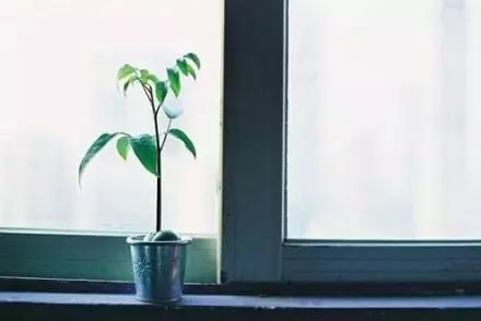 正能量愛(ài)世界萬(wàn)物的句子