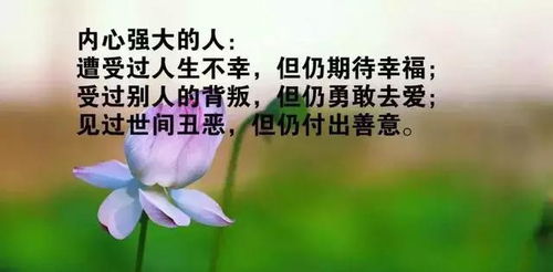 正能量向上句子簡(jiǎn)短