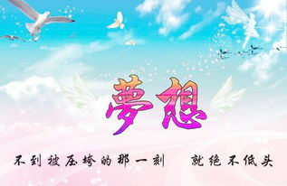 團隊精神,句子,能量,夢(mèng)想