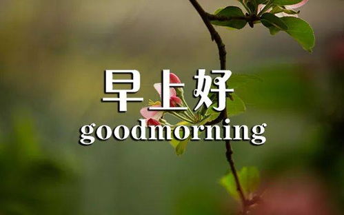 健康語錄正能量句子,健康勵(lì)志正能量句子,健康心語正能量句子