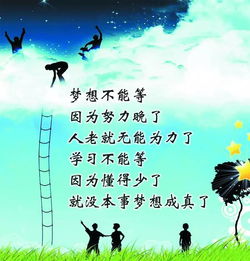 句子,能量,朋友