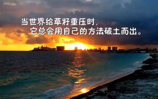 公司誠信經(jīng)營(yíng)的句子,誠信經(jīng)營(yíng)的句子經(jīng)典語(yǔ)錄,形容誠信經(jīng)營(yíng)的句子