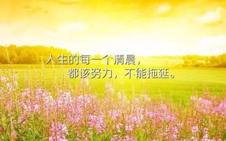 正能量簡(jiǎn)短早安句子大全