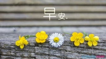 早安勵(lì)志心語(yǔ)正能量句子,工作早安心語(yǔ)正能量句子,周末早安心語(yǔ)正能量句子