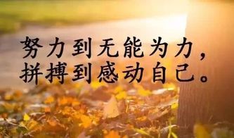 開導心理的正能量句子,心理積極向上正能量的句子,心理句子大全正能量