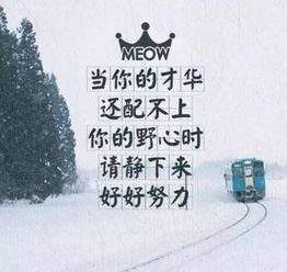 早分享正能量的句子,每日分享正能量句子,早會(huì )分享正能量句子