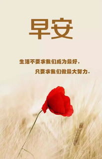 句子,勵志,能量,早上