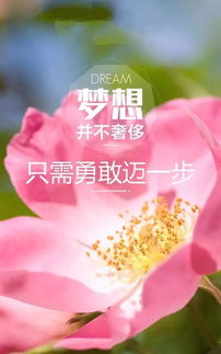 早安,句子,語(yǔ)句,能量