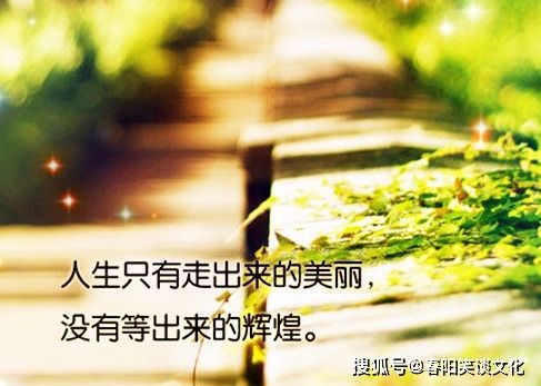 句子,能量,女人,大全