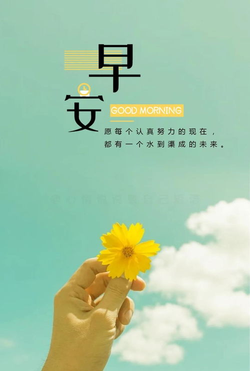 短語(yǔ),句子,能量,心情