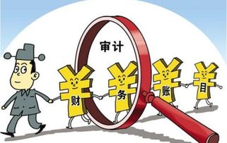 會(huì )計科目中的審計費指的是那些