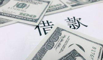 收到股東借款計入會(huì )計科目
