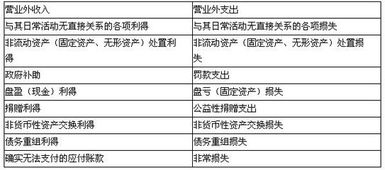 社會(huì )團體,捐贈,支出,會(huì )計科目