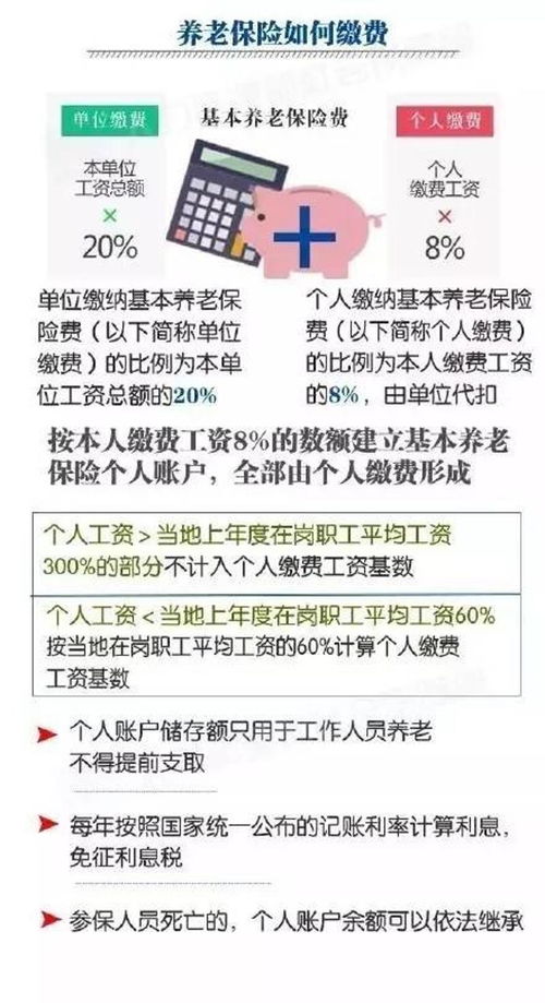事業(yè)單位會(huì )計科目一覽表,事業(yè)單位會(huì )計科目明細表,事業(yè)單位預算會(huì )計科目