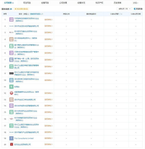 新公司會(huì )計科目怎么設置,注冊新公司的支出會(huì )計科目,新公司收到股東錢(qián)計入什么會(huì )計科目