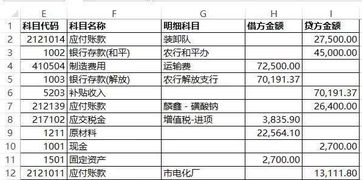 借方,負債,什么意思,會(huì )計科目