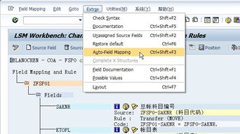 導出,會(huì )計科目,sap