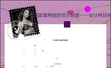 民間非營(yíng)利組織會(huì )計制度會(huì )計科目,政府與非營(yíng)利組織會(huì )計會(huì )計科目,民間非營(yíng)利組織會(huì )計科目管理費用