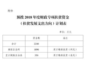 扶貧資助支出進(jìn)會(huì )計科目