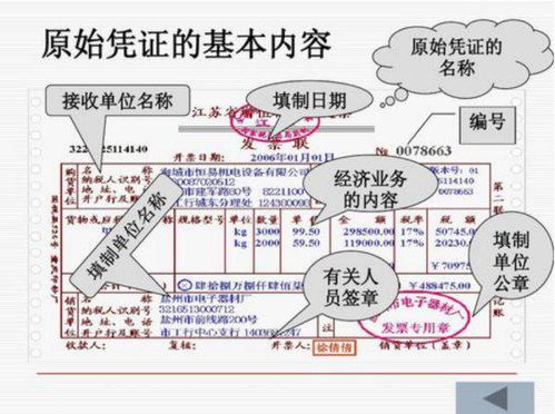 總預算,財政,會(huì )計科目,包括