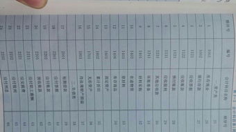 投資的資金算什么會計科目