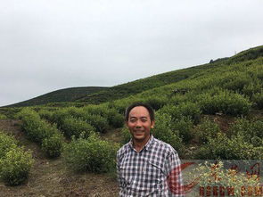旅行做什么會(huì )計科目