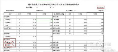 專業(yè)合作社賬務(wù)會計科目