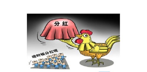 股東分紅怎么會(huì )計科目
