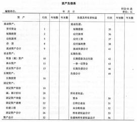 集體經(jīng)濟(jì),會計科目,農(nóng)村,組織