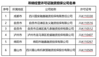 對(duì)外融資擔(dān)保費(fèi)入什么會(huì)計(jì)科目