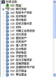 民辦非營(yíng)利學(xué)校會(huì )計科目,非營(yíng)利民間組織會(huì )計科目,非營(yíng)利組織機構會(huì )計科目