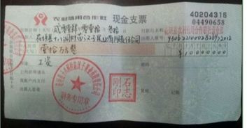 支票,現金,支付,會(huì )計科目