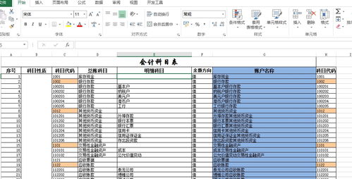 新中大標準庫賬套會(huì )計科目代碼