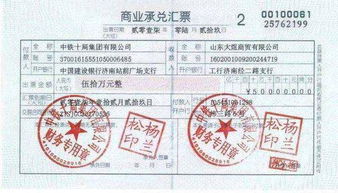 電子承兌匯票計入哪個(gè)會(huì )計科目