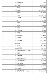 會(huì)計(jì)科目建立的順序,村級(jí)財(cái)務(wù)核算會(huì)計(jì)科目,村級(jí)會(huì)計(jì)科目明細(xì)表