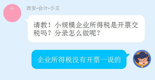 小規模企業(yè)所得稅會(huì )計科目