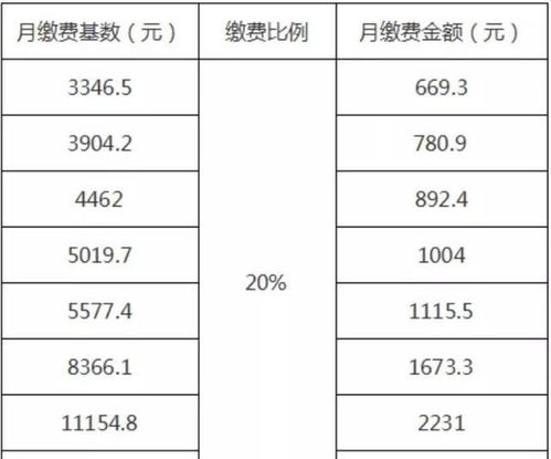 養老保險,會(huì )計科目