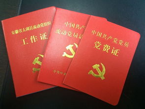 會(huì )計科目使用不規范整改報告,會(huì )計科目列支不規范的整改,會(huì )計科目使用不規范怎么整改