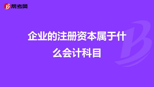注冊資本放在哪個(gè)會(huì )計科目