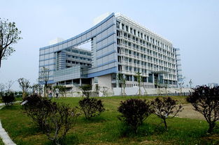安徽財經大學自考會計本科科目,安徽財經大學自考官網,安徽財經大學自考難嗎