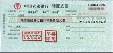 支票,會計科目