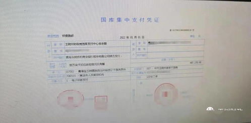 支付,財政,會(huì )計科目,歸集